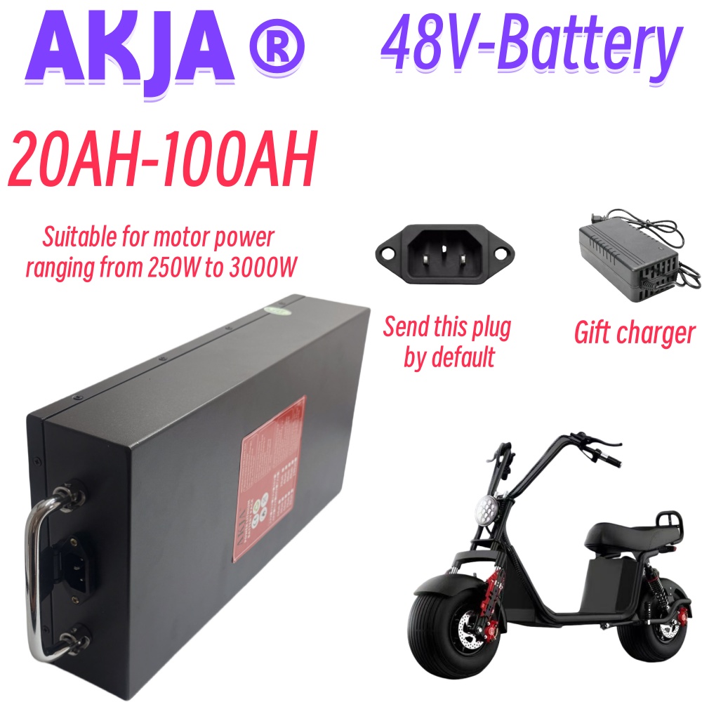 Air fast transportation 48V Ne - 60V 50Ah Electric Scooter Battery review and price