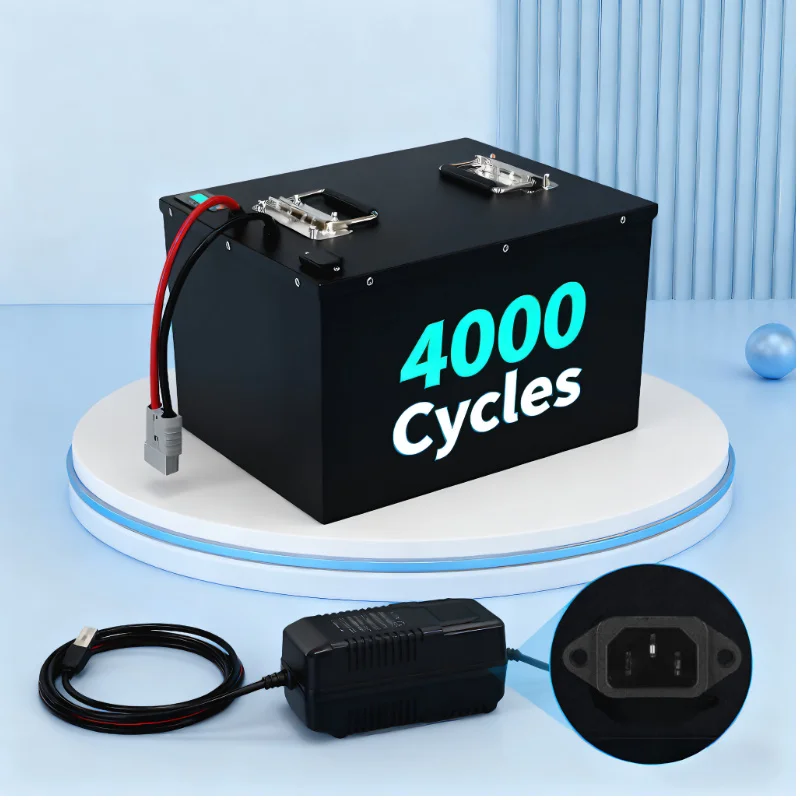 LIFEPO4 Battery Pack with BMS  - 72V 40Ah Lifepo4 Battery Pack review and price